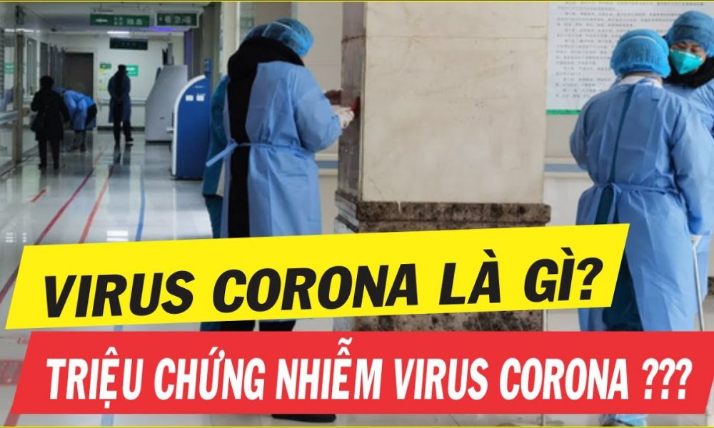 WHO trả lời 14 thắc mắc giúp bạn phòng lây nhiễm virus corona