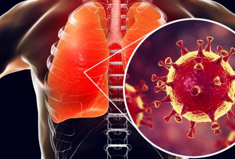 Chuyên gia cảnh báo: Những "mặt trận" Virus nCoV tấn công trên cơ thể con người