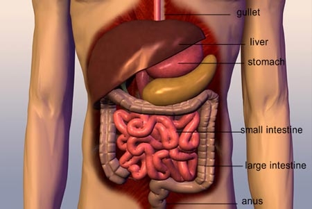 Đường ruột thông thì tuổi thọ cao: Bí quyết "vàng"