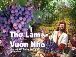 Thứ Tư 19/08/2020 – Thứ Tư tuần 20 thường niên. – Lòng nhân lành của Chúa.