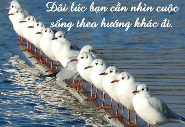 Hãy sống như hôm nay là ngày cuối cùng của bạn!