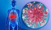 Nhiễm virus viêm gan B có ảnh hưởng khả năng sinh con?