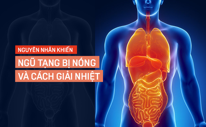 5 chuyên gia lý giải tình trạng ngũ tạng bị nóng...