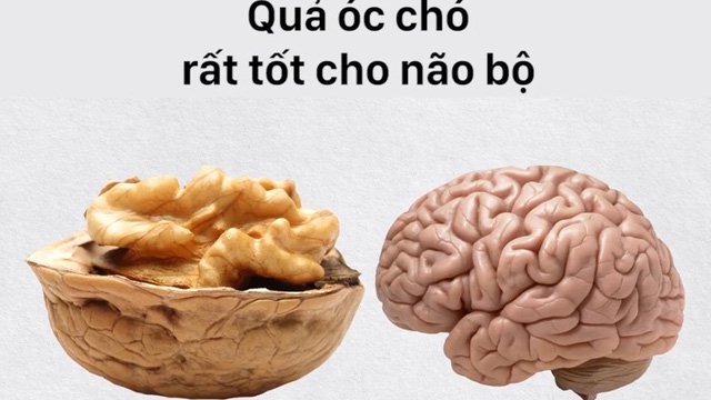 “Ăn gì bổ nấy”, có đúng không?