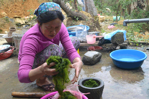 Rong rêu và phận đời