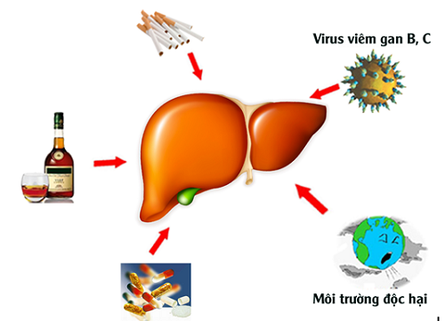 Cấp cứu vì gan ốm vẫn dùng paracetamol