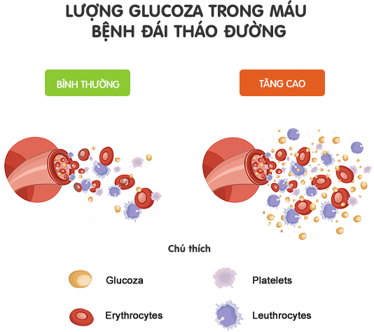 Chế độ ăn uống và bệnh đái tháo đường