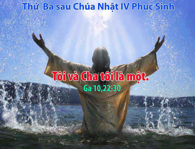 Suy niệm 24/04/2018 – Thứ Ba tuần 4 Phục Sinh. – Sự thật cứu rỗi.