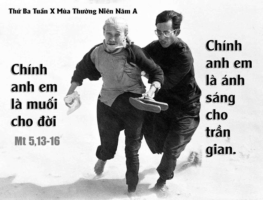 Suy niệm 12/06/2018 – Thứ Ba tuần 10 thường niên: Muối và Ánh Sáng