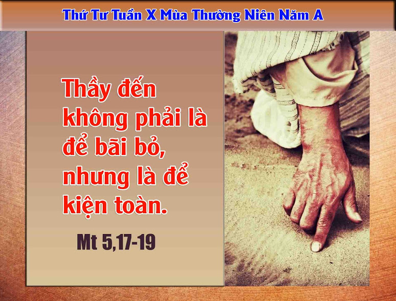 Suy niệm 13/06/2018 – Thứ Tư tuần 10 thường niên – Thánh Antôn Pađôva, linh mục, tiến sĩ Hội Thánh. Lễ nhớ.