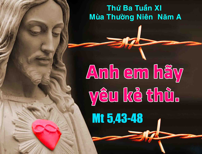 Suy niệm 19/06/2018 – Thứ Ba tuần 11 thường niên: Yêu thương kẻ thù, để nên trọn lành.