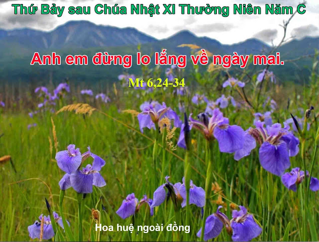 Suy niệm 23/06/2018 – Thứ Bảy tuần 11 thường niên: Hãy làm tôi tớ Thiên Chúa.