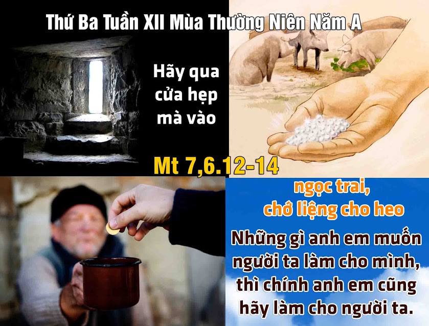 Suy niệm 26/06/2018 – Thứ Ba tuần 12 thường niên: Thi hành điều muốn người khác làm cho mình.