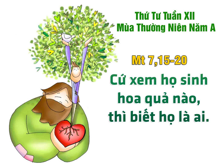 Suy niệm 27/06/2018 – Thứ Tư tuần 12 thường niên: Cây tốt trái tốt, cây xấu trái xấu.