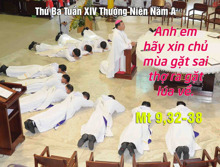 Suy niệm 10/07/2018 – Thứ Ba tuần 14 thường niên: Cánh đồng truyền giáo.