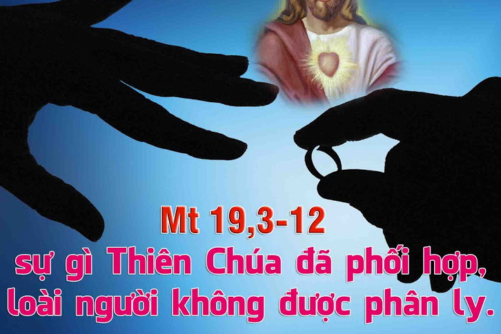 Suy niệm 17/08/2018 – Thứ sáu tuần 19 thường niên: Không được phân ly.