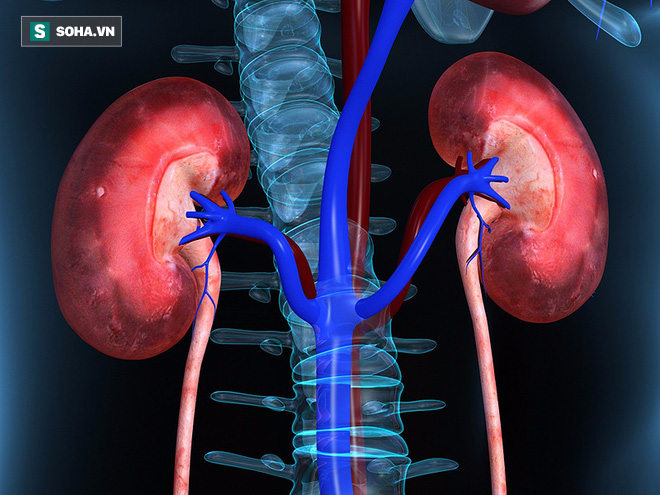 Những triệu chứng bệnh thận bạn nên biết