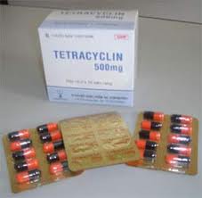 Không dùng tetracyclin điều trị nhiễm khuẩn