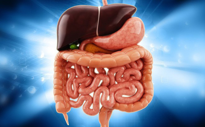 Cơ thể tích tụ quá nhiều chất độc sẽ sinh bệnh nguy hiểm: Đừng bỏ qua 4 cách thải độc này