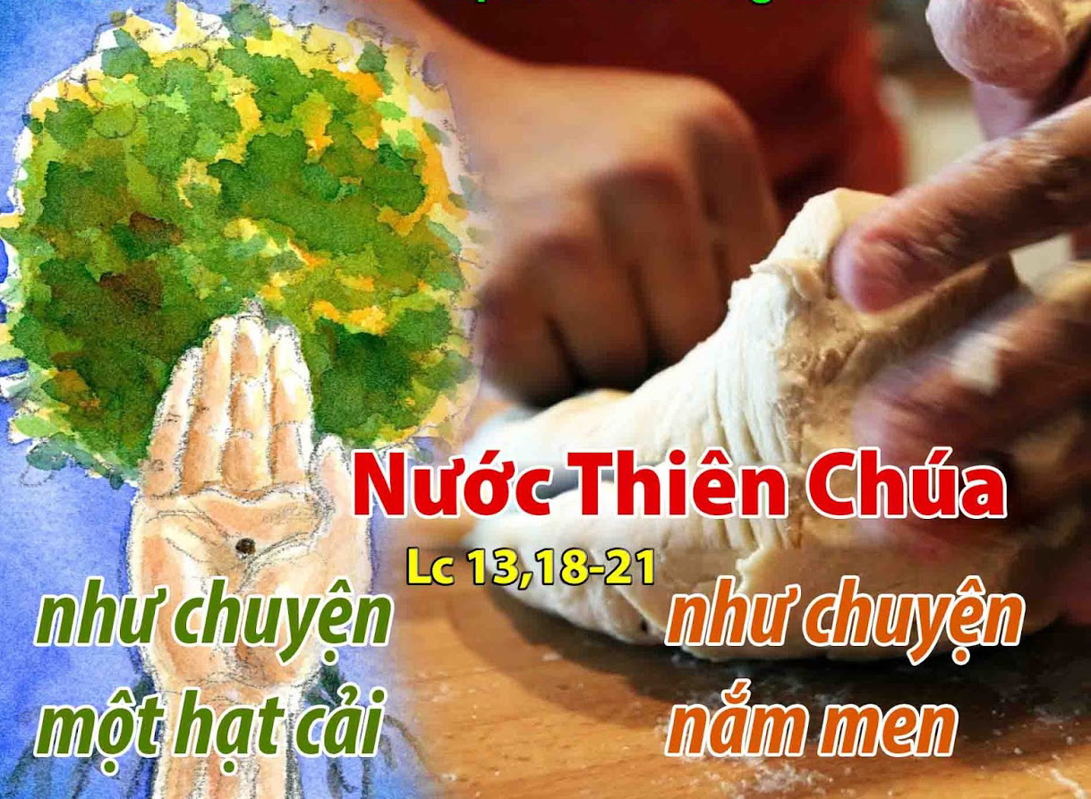 Thứ Ba 30/10/2018 – Thứ Ba tuần 30 thường niên. – Nước Thiên Chúa.