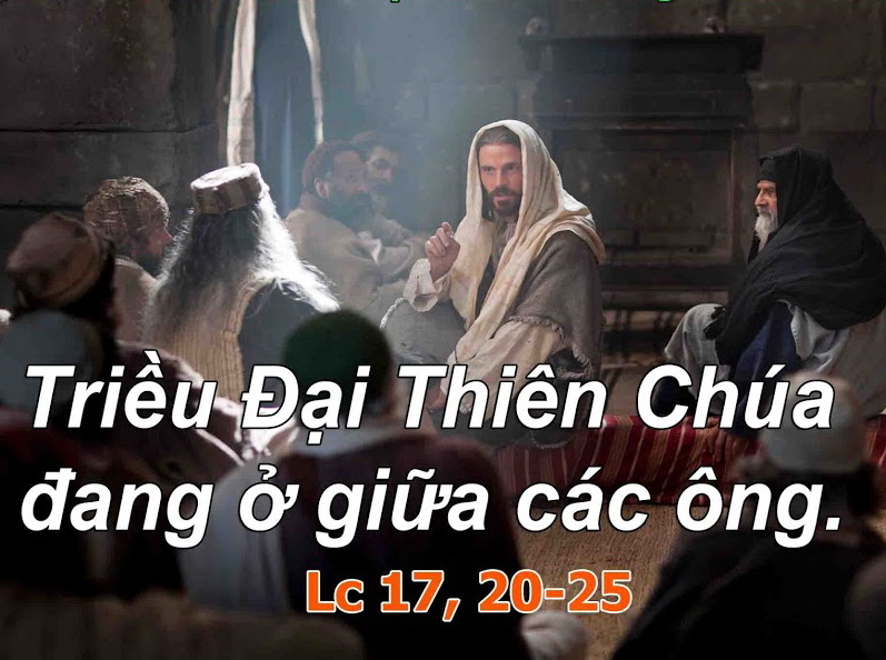 Suy niệm 15/11/2018 – Thứ năm tuần 32 thường niên: Thánh Albertô Cả, giám mục, tiến sĩ Hội Thánh. Lễ nhớ.