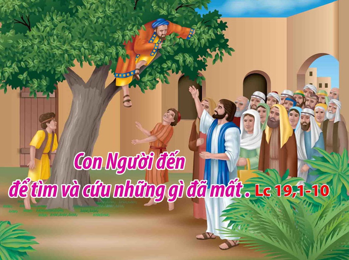 Suy niệm 20/11/2018 – Thứ ba tuần 33 thường niên: Thể hiện hoán cải cách cụ thể.