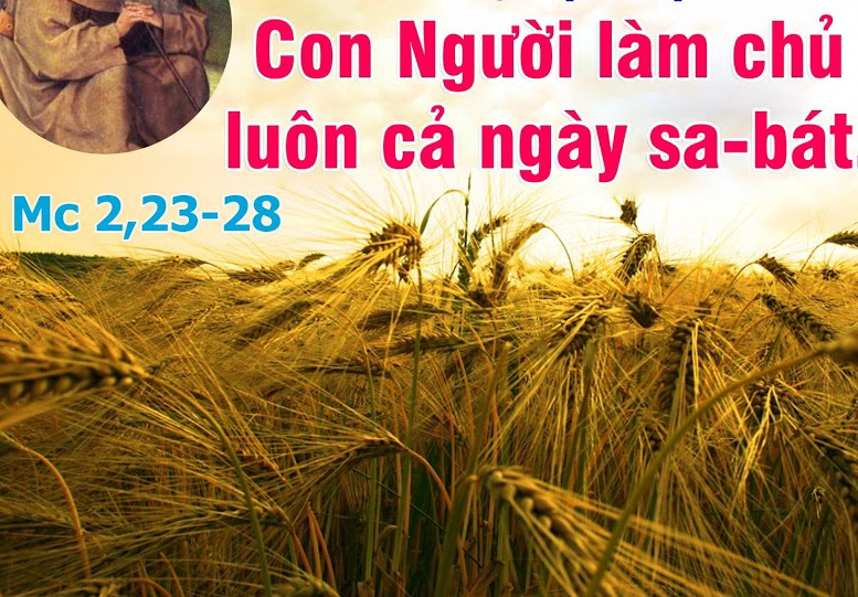 Suy niệm  22/01/2019 – Thứ Ba tuần 2 thường niên:  Cốt lõi của Lề Luật.