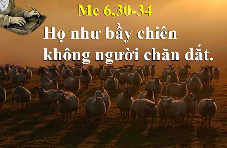 Suy niệm 09/02/2019 – Thứ Bảy tuần 4 thường niên: Dung mạo yêu thương của Chúa Giêsu.