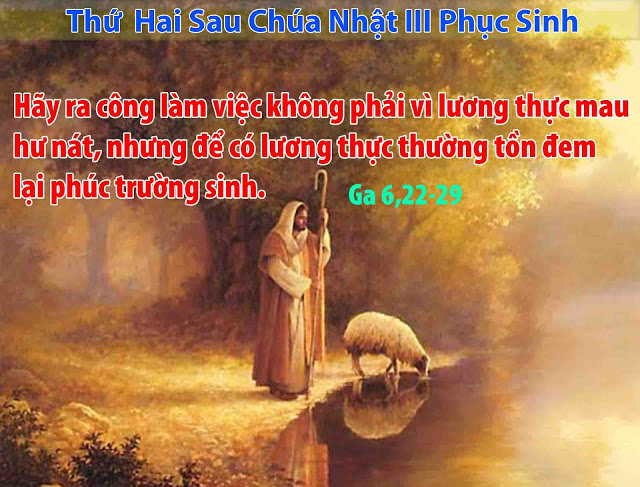 Suy niệm 06/05/2019 – Thứ Hai tuần 3 Phục Sinh: Tin vào Đấng Thiên Sai.