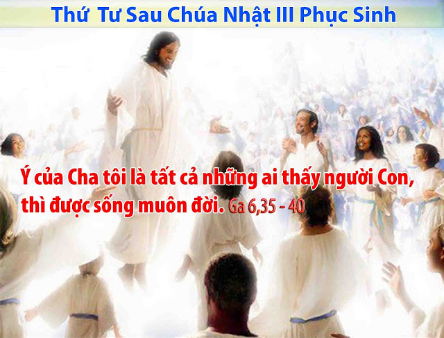 Suy niệm 08/05/2019 – Thứ Tư tuần 3 Phục Sinh: Ý nghĩa của cuộc sống.