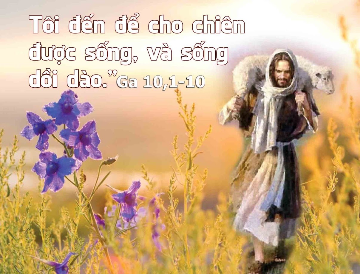 Suy niệm 13/05/2019 – Thứ Hai tuần 4 Phục Sinh: Chúa chiên lành.