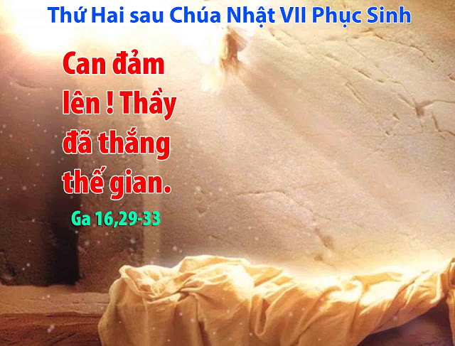 Suy niệm 03/06/2019 – Thứ Hai tuần 7 Phục Sinh: Thánh Carôlô Loan-ga và các bạn, tử đạo. Lễ nhớ. – Cùng hiệp thông với Chúa.