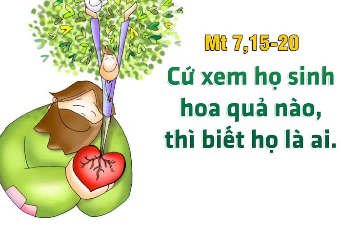 Suy niệm 26/06/2019 – Thứ Tư tuần 12 thường niên: Cây tốt trái tốt, cây xấu trái xấu.