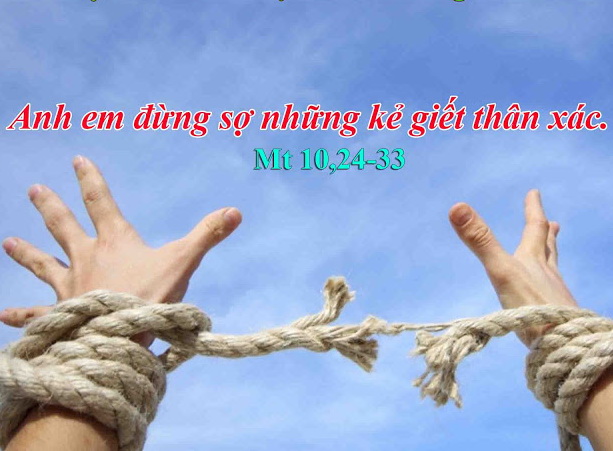 Suy niệm 13/07/2019 – Thứ Bảy tuần 14 thường niên: Đừng sợ…, nhưng hãy sợ ….