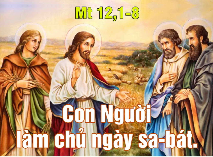 Suy niệm 19/07/2019 – Thứ sáu tuần 15 thường niên: Con Người là chủ ngày Sabbat.