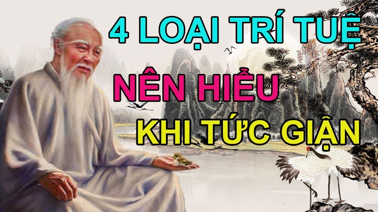 VIDEO - 4 cách xử lý cực khôn ngoan khi tức giận - Triết Lý Cuộc Sống