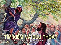 Suy niệm 19/11/2019 – Thứ ba tuần 33 thường niên: Thể hiện hoán cải cách cụ thể.