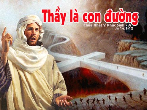 ĐÂU LÀ Ý NGHĨA CỦA CUỘC SỐNG ?