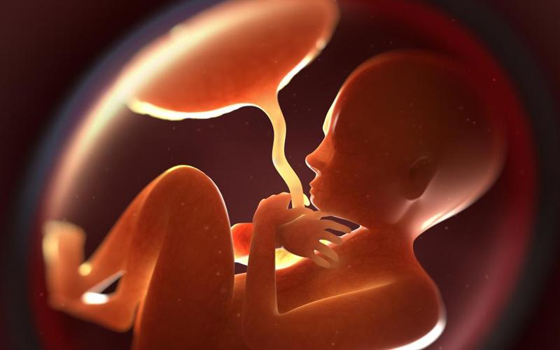 LẬP TRƯỜNG VÀ GIÁO HUẤN CỦA GIÁO HỘI CÔNG GIÁO