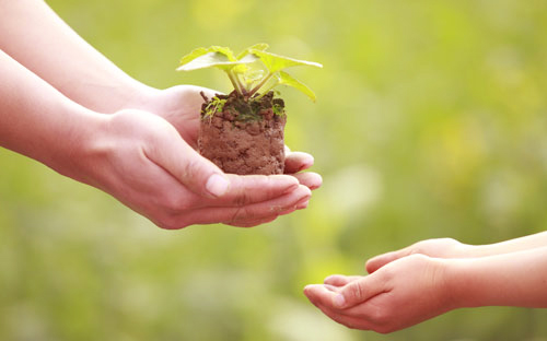 Phép lạ từ lòng quảng đại