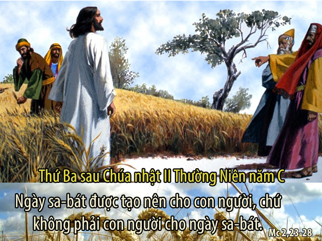 Kìa Thầy xem. Tại sao ngày Sabbat người ta làm điều không được phép như vậy