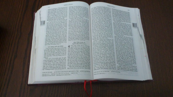 Bản dịch Thánh Kinh được thực hiện chung bởi Công giáo và Tin lành Đức