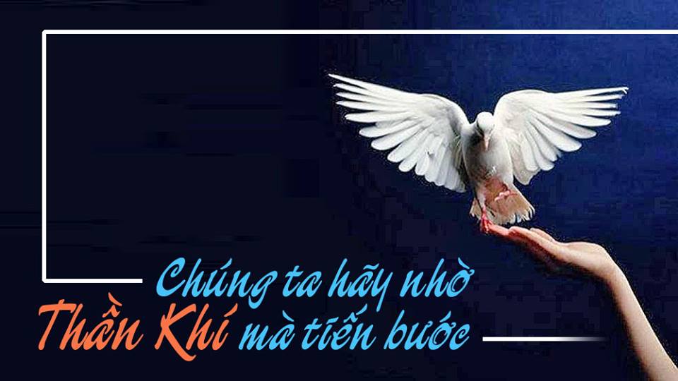 "Các con hãy nhận lấy Thánh Thần..."