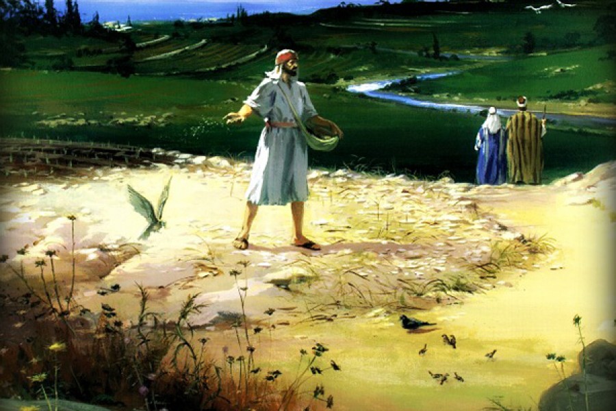 Có những hạt lại rơi nhằm đất tốt, nên sinh hoa kết quả.