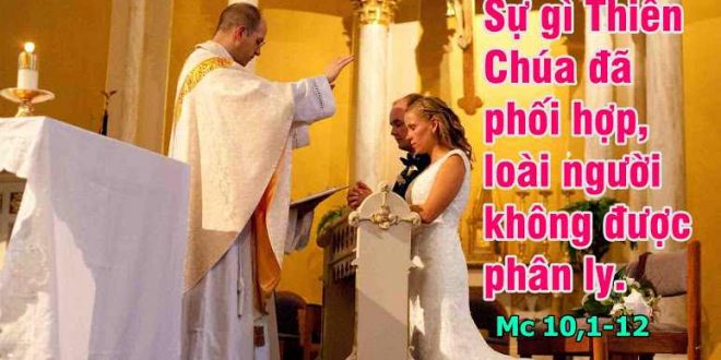 "Có được phép rẫy vợ vì bất cứ lí do gì không?"