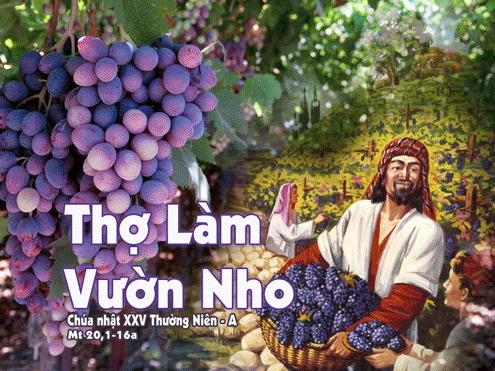 “Cả các anh nữa, hãy đi vào vườn nho, tôi sẽ trả cho các anh hợp lẽ công bằng.”